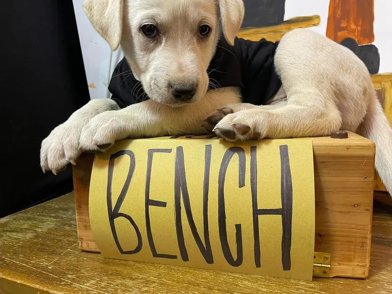 Bench thumbnail 2