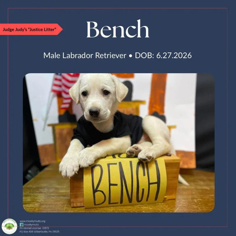 Bench thumbnail 5