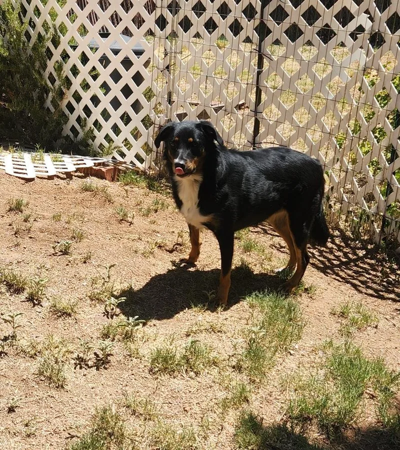 Maggie Az thumbnail 2