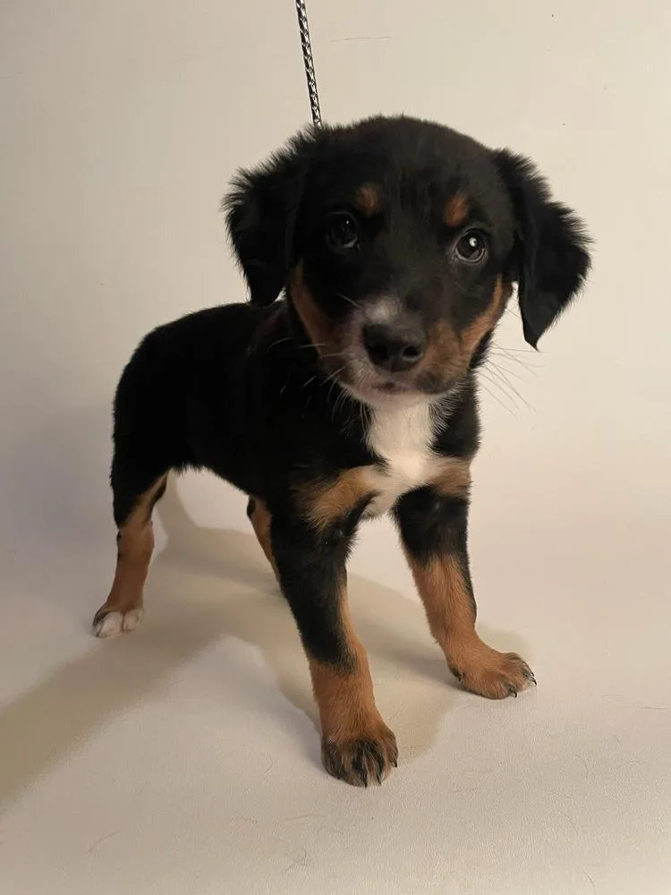 Maggie Az thumbnail 3