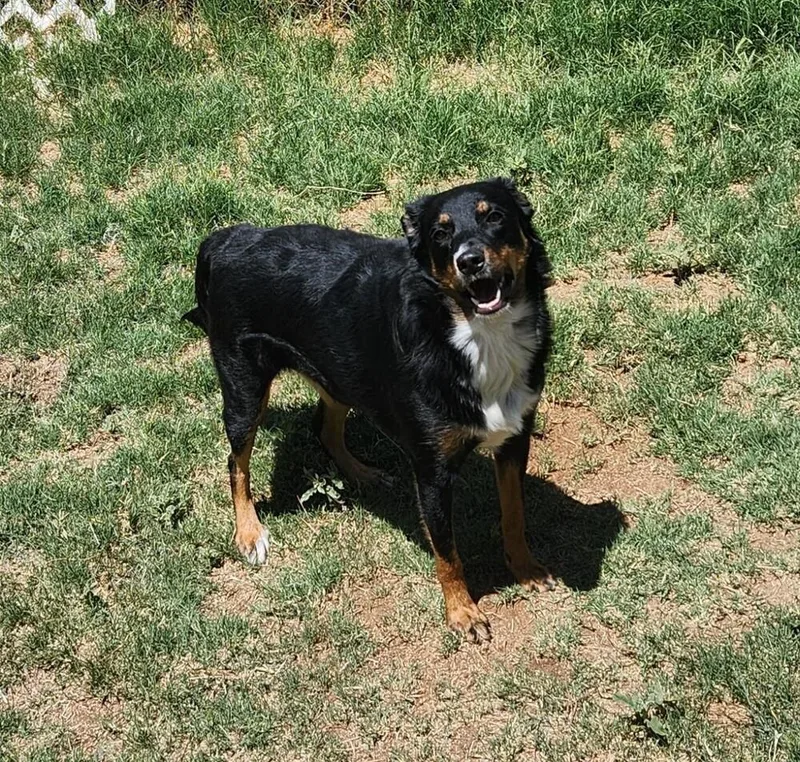 Maggie Az thumbnail 4