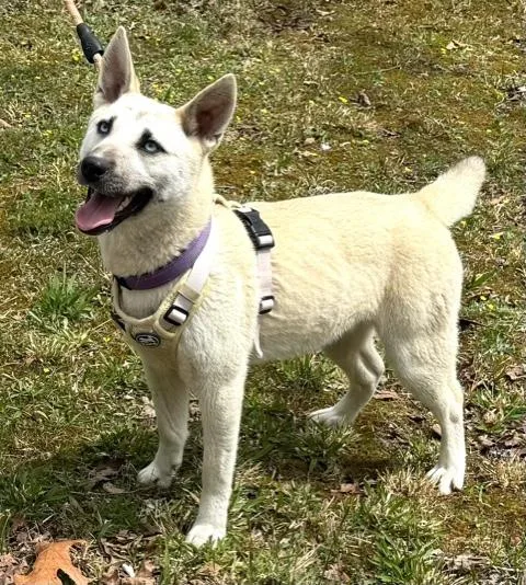 Azure Artist thumbnail 2