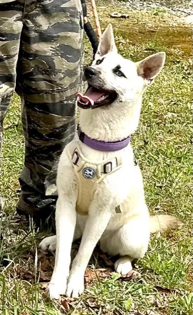 Azure Artist thumbnail 4