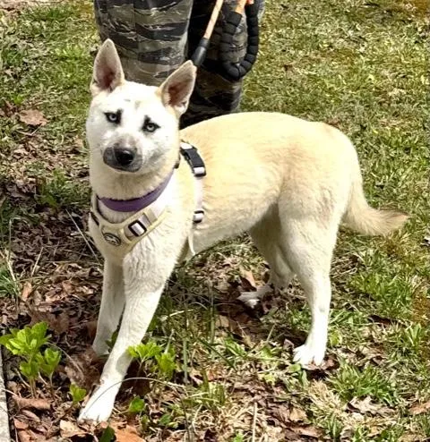 Azure Artist thumbnail 6