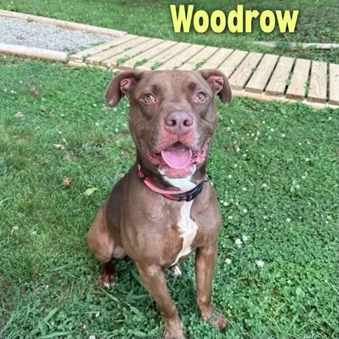 Woodrow