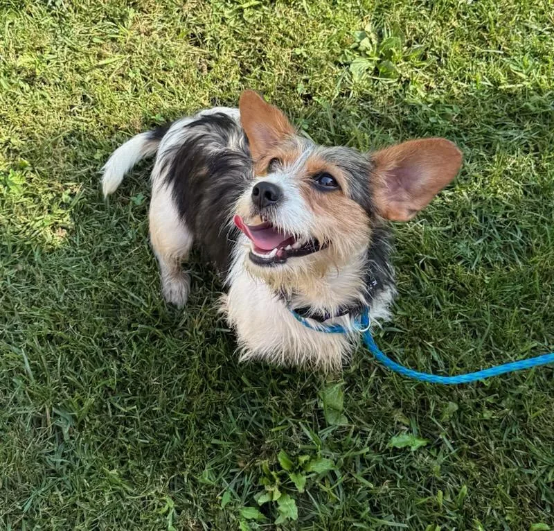 Josie
