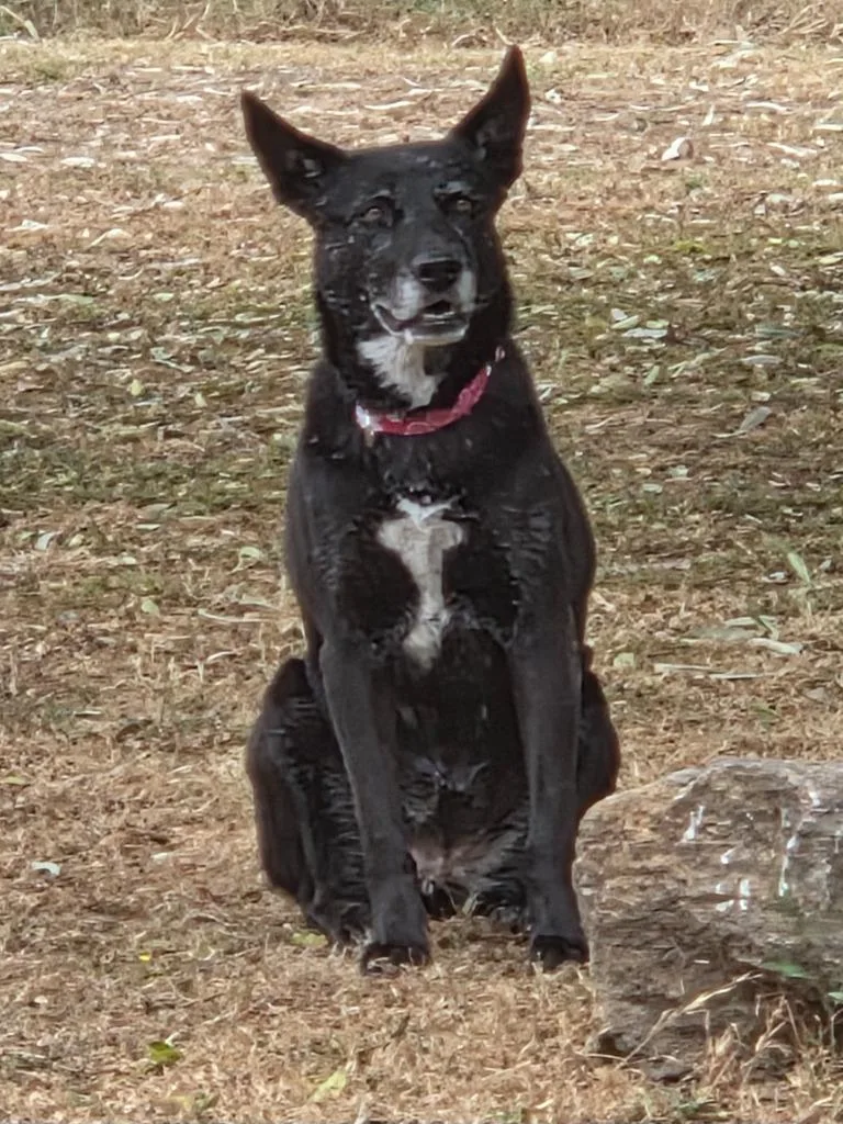 Doll Doll thumbnail 2