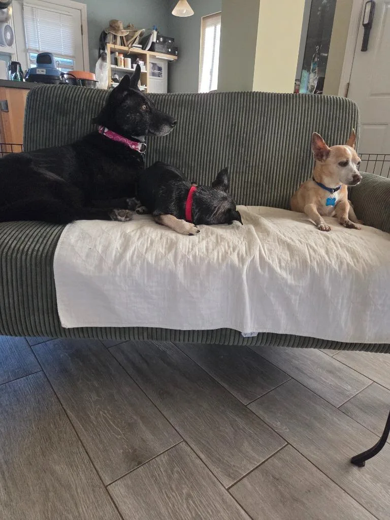 Doll Doll thumbnail 4