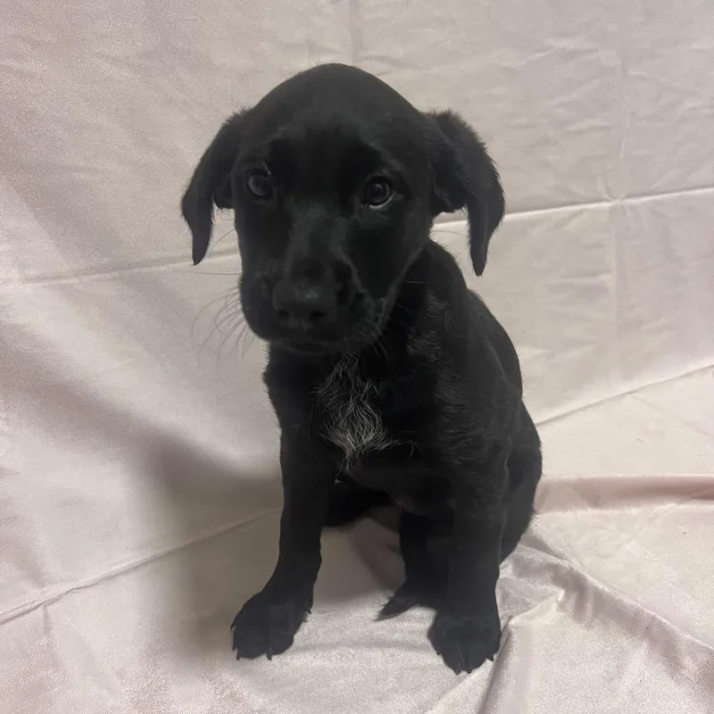 Ct Macy's thumbnail 5