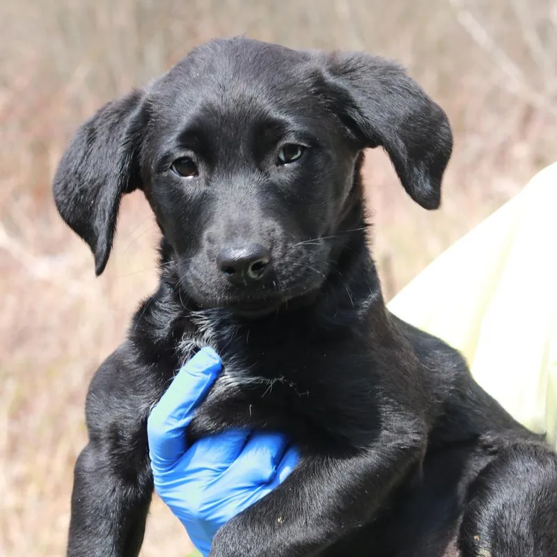 Ct Macy's thumbnail 6