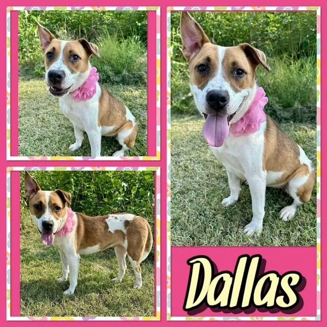 Dallas