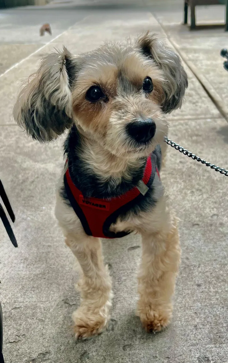 Charlie