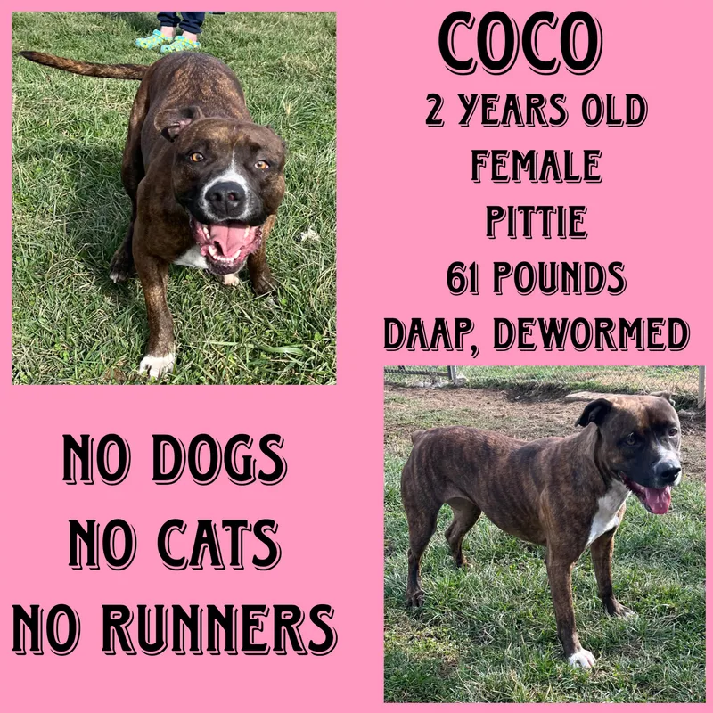 Coco
