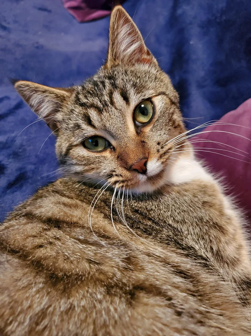 Max  Bonded with thumbnail 2