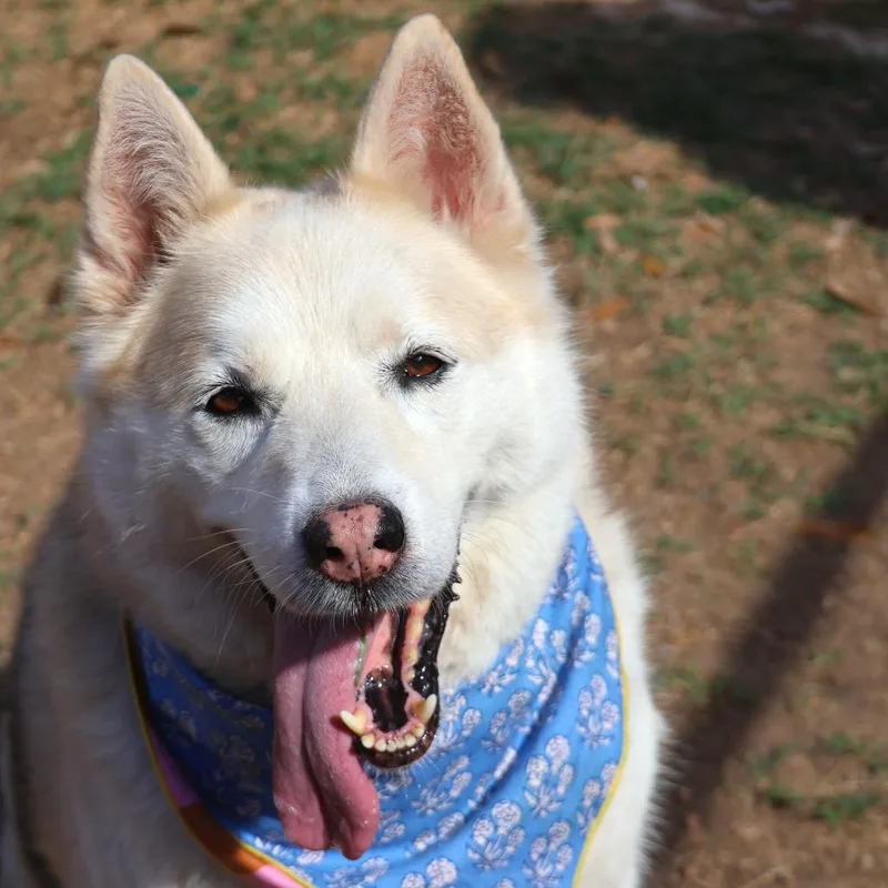 Stormy Weather thumbnail 2