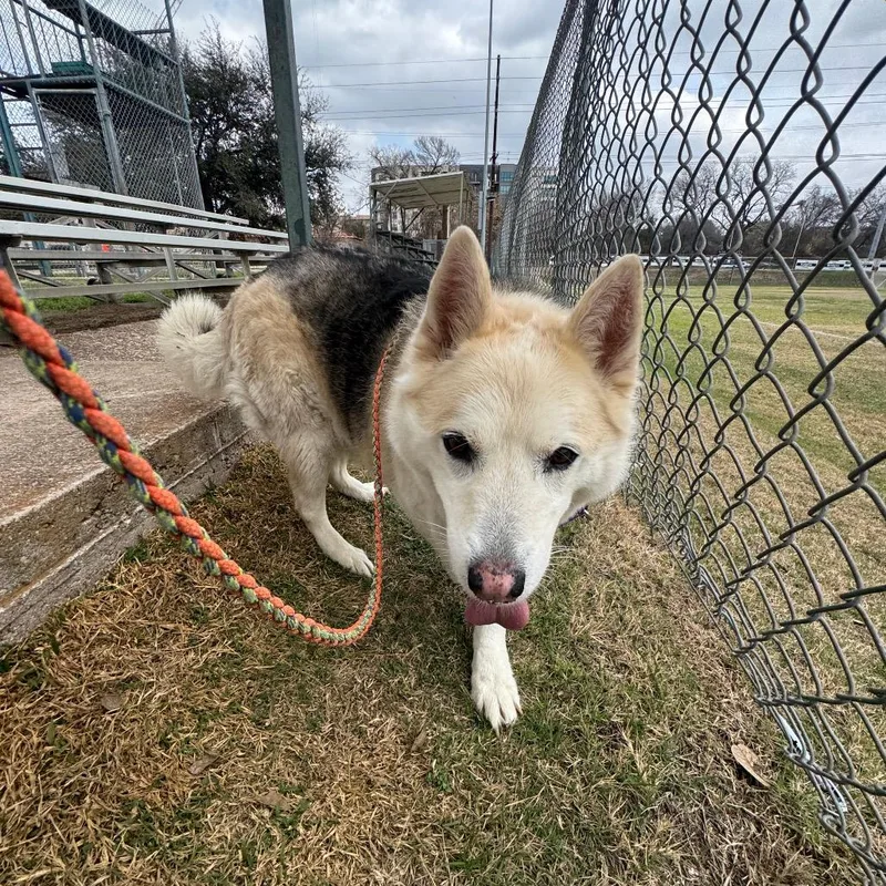 Stormy Weather thumbnail 3