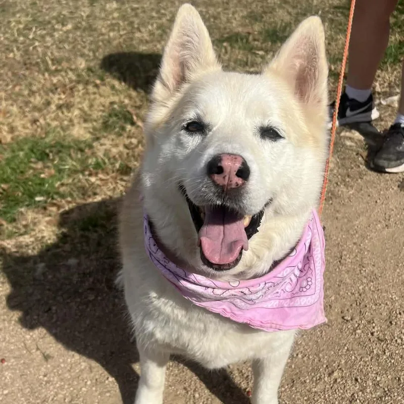 Stormy Weather thumbnail 5