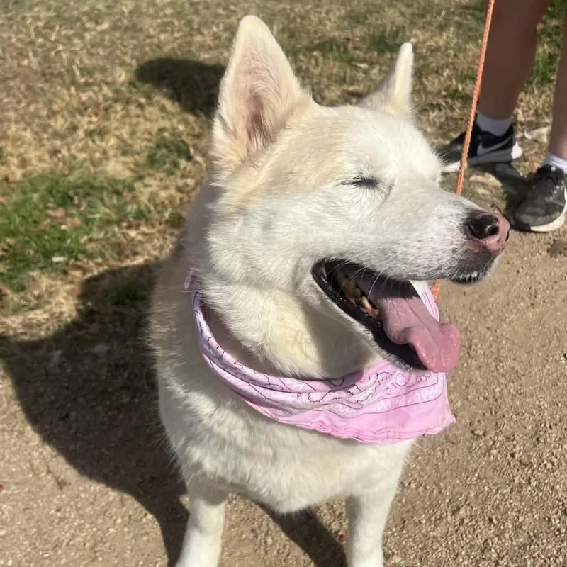 Stormy Weather thumbnail 6