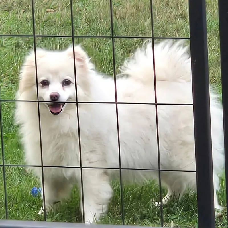 Amy thumbnail 3