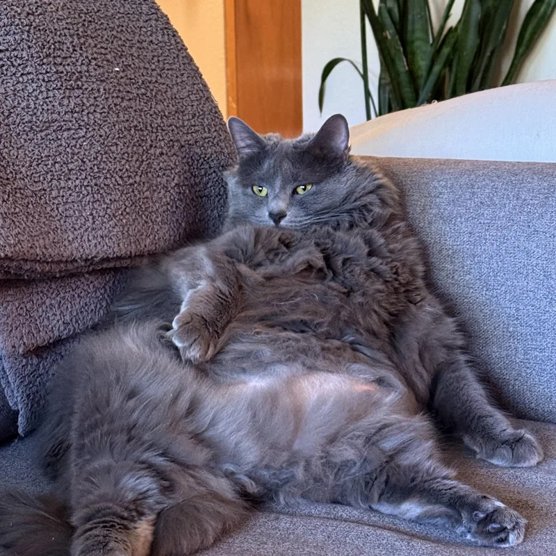 Luna