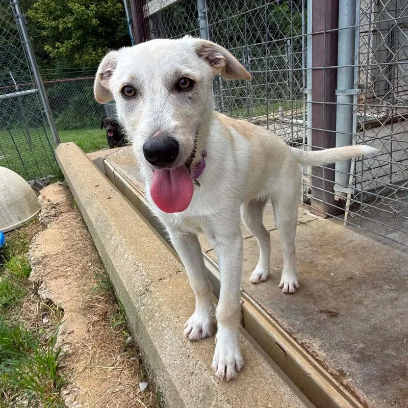 Pablo thumbnail 5