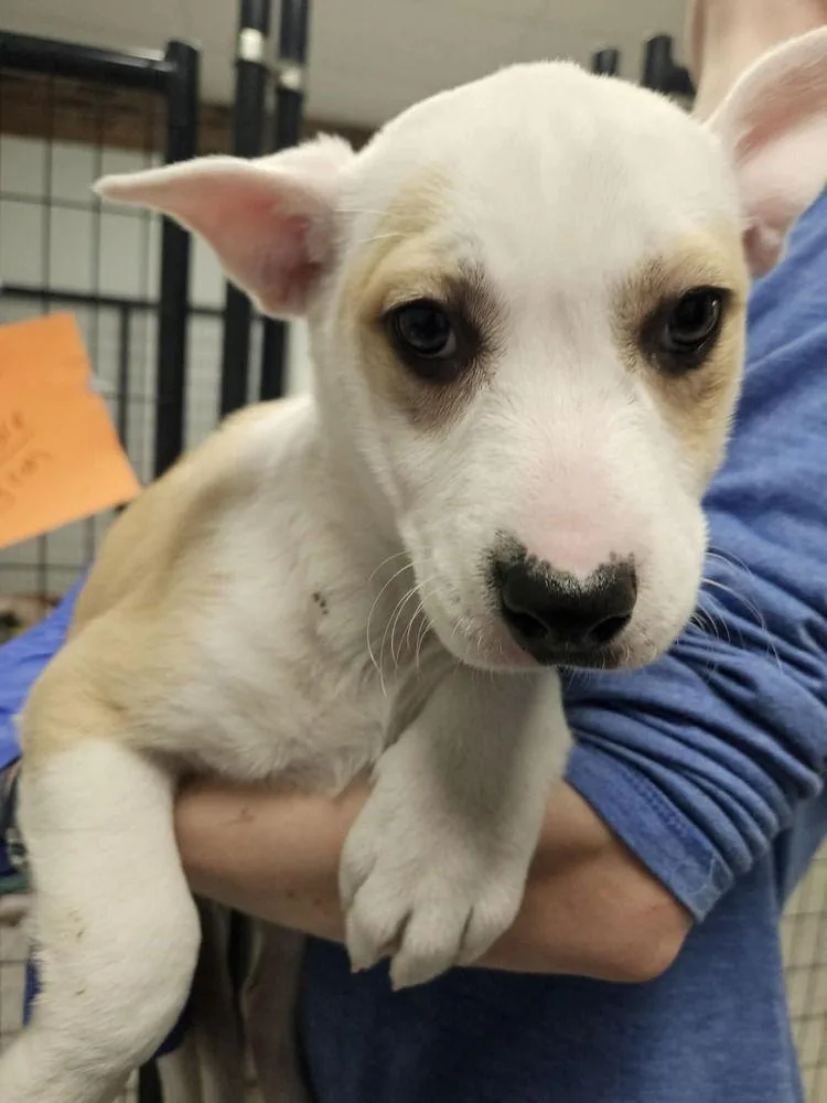 Maybelline thumbnail 2