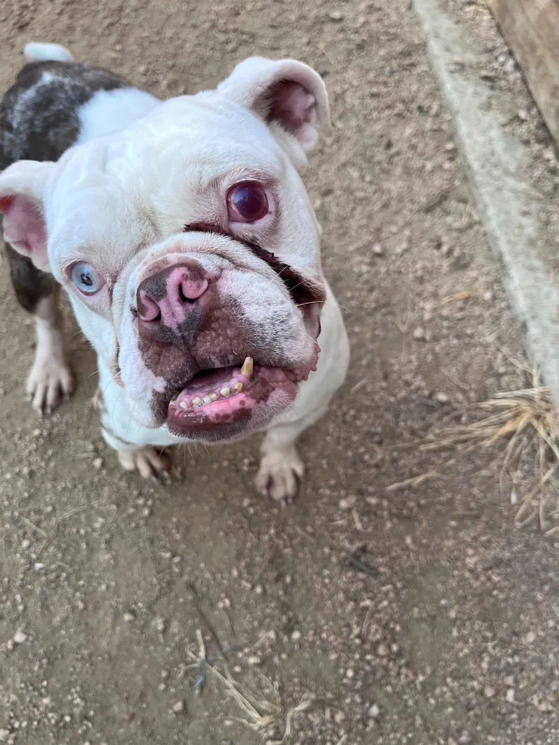 Betty A thumbnail 2