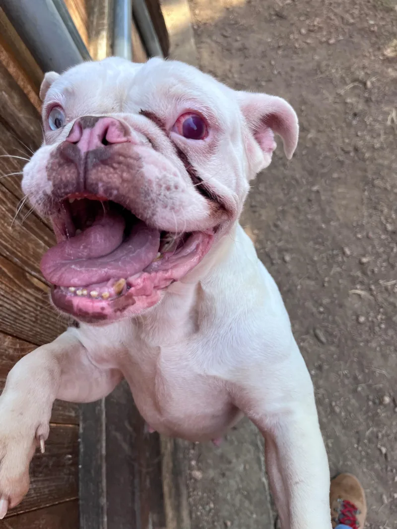 Betty A thumbnail 4