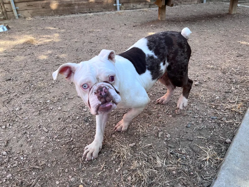 Betty A thumbnail 5