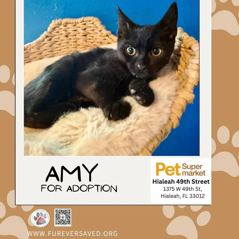 Amy thumbnail 3