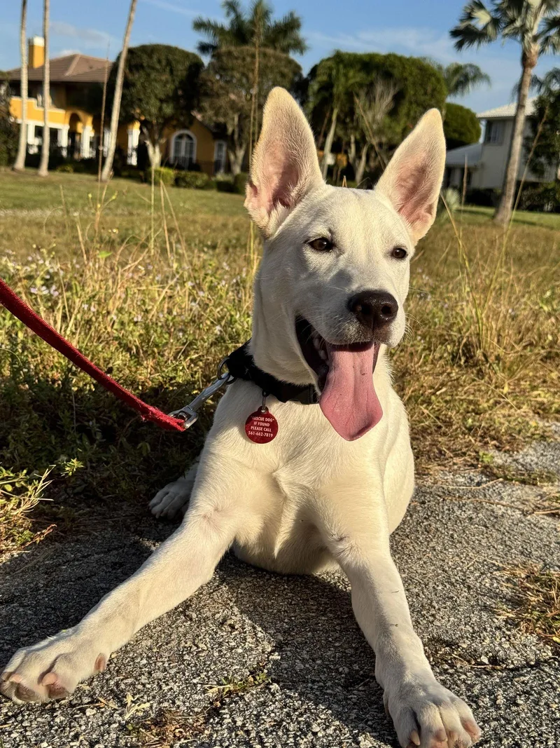 Osbourne thumbnail 2