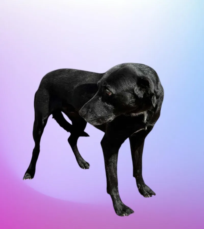 Rootie thumbnail 3