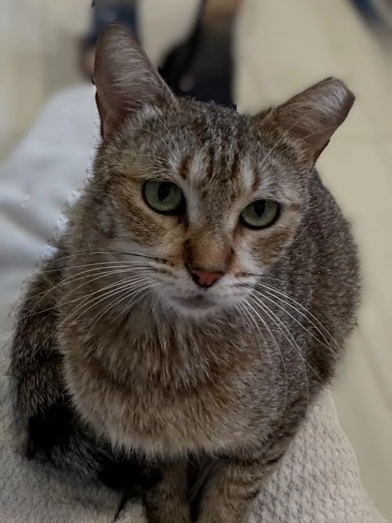 Bean thumbnail 3