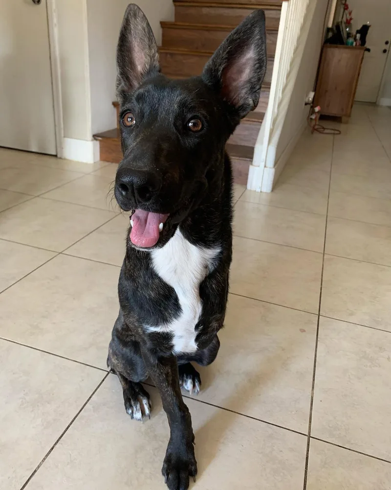 Sunshine thumbnail 2