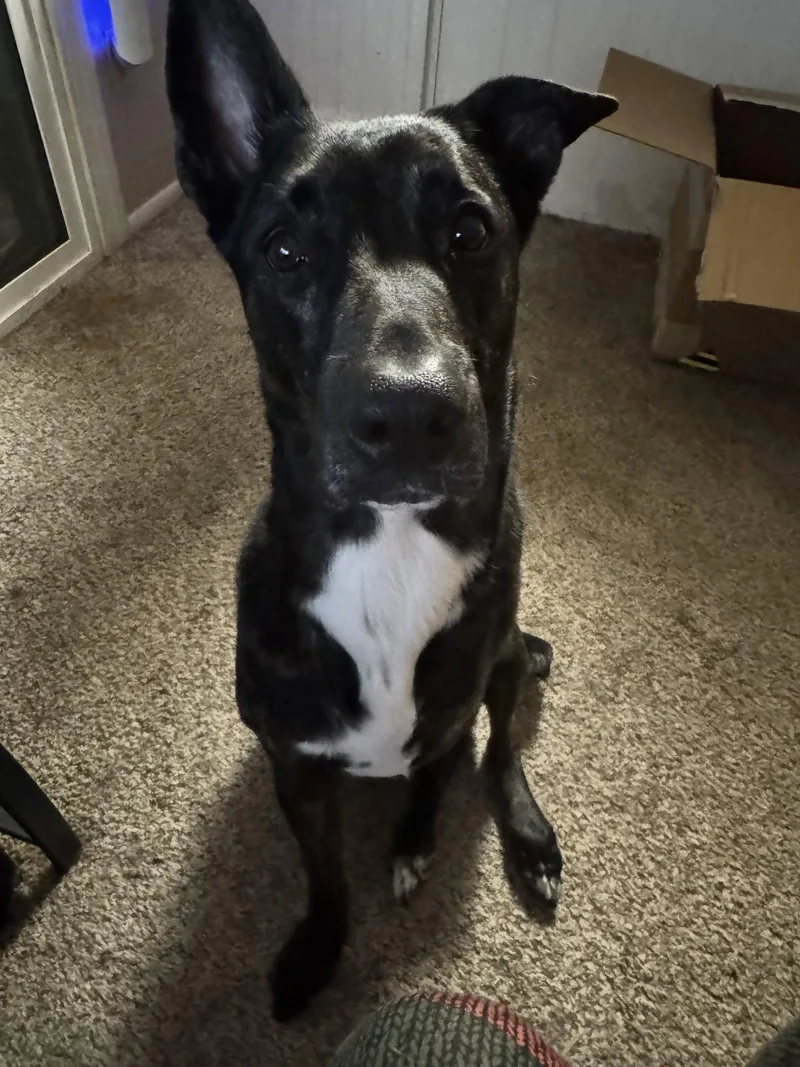 Sunshine thumbnail 3