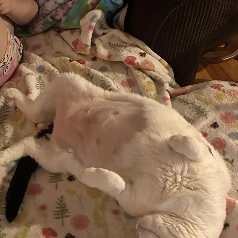 Molly thumbnail 4