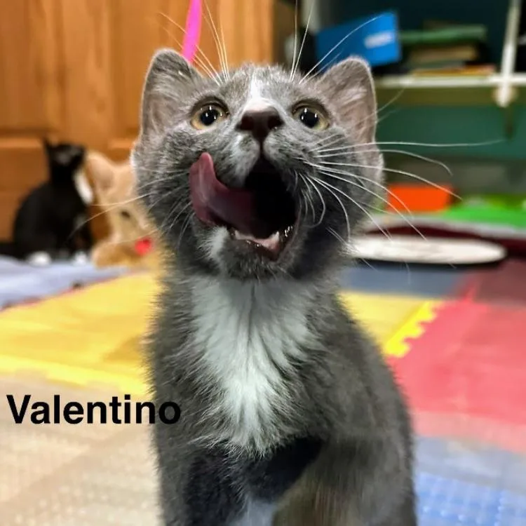 Valentino