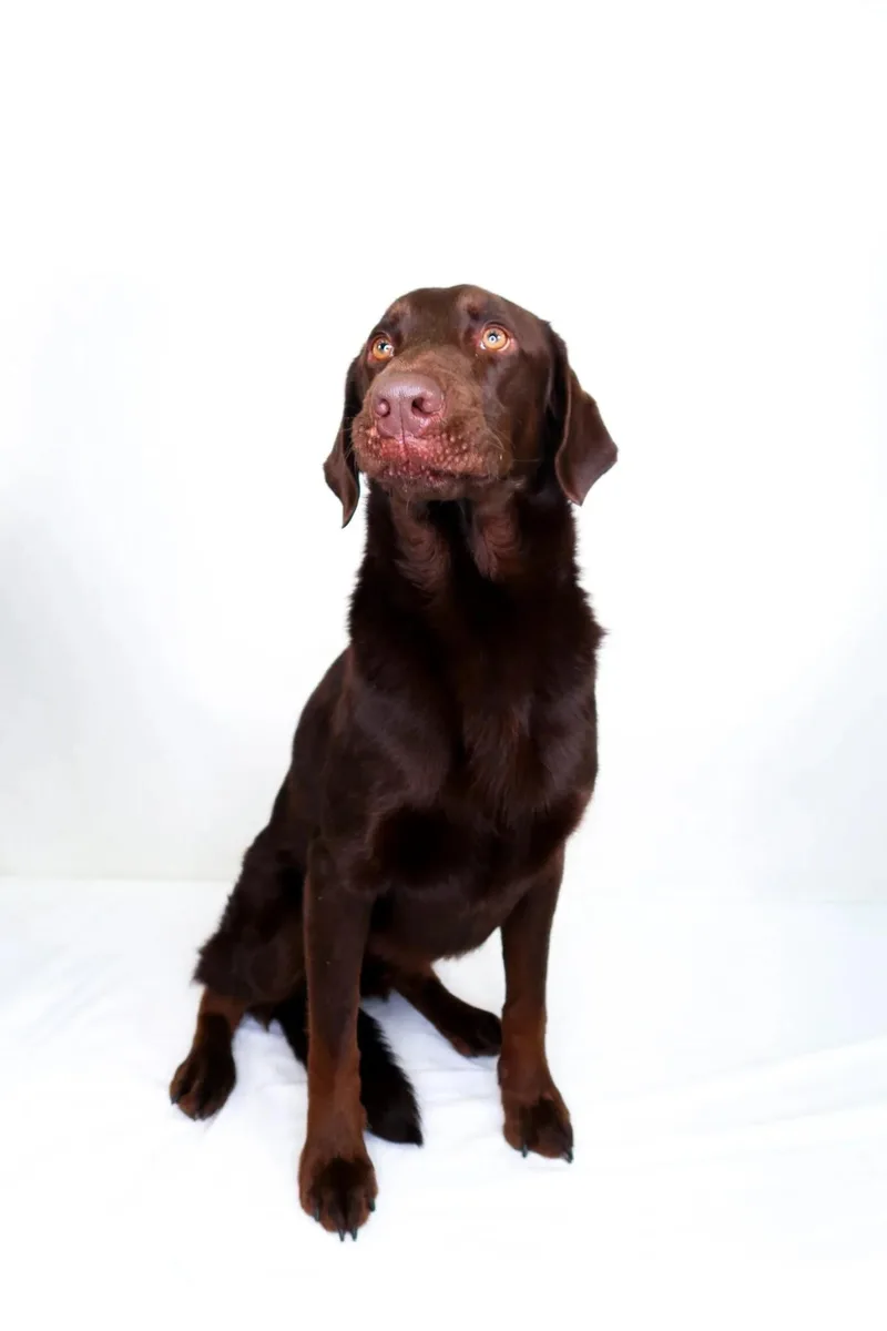 Lionel Ritchie thumbnail 2