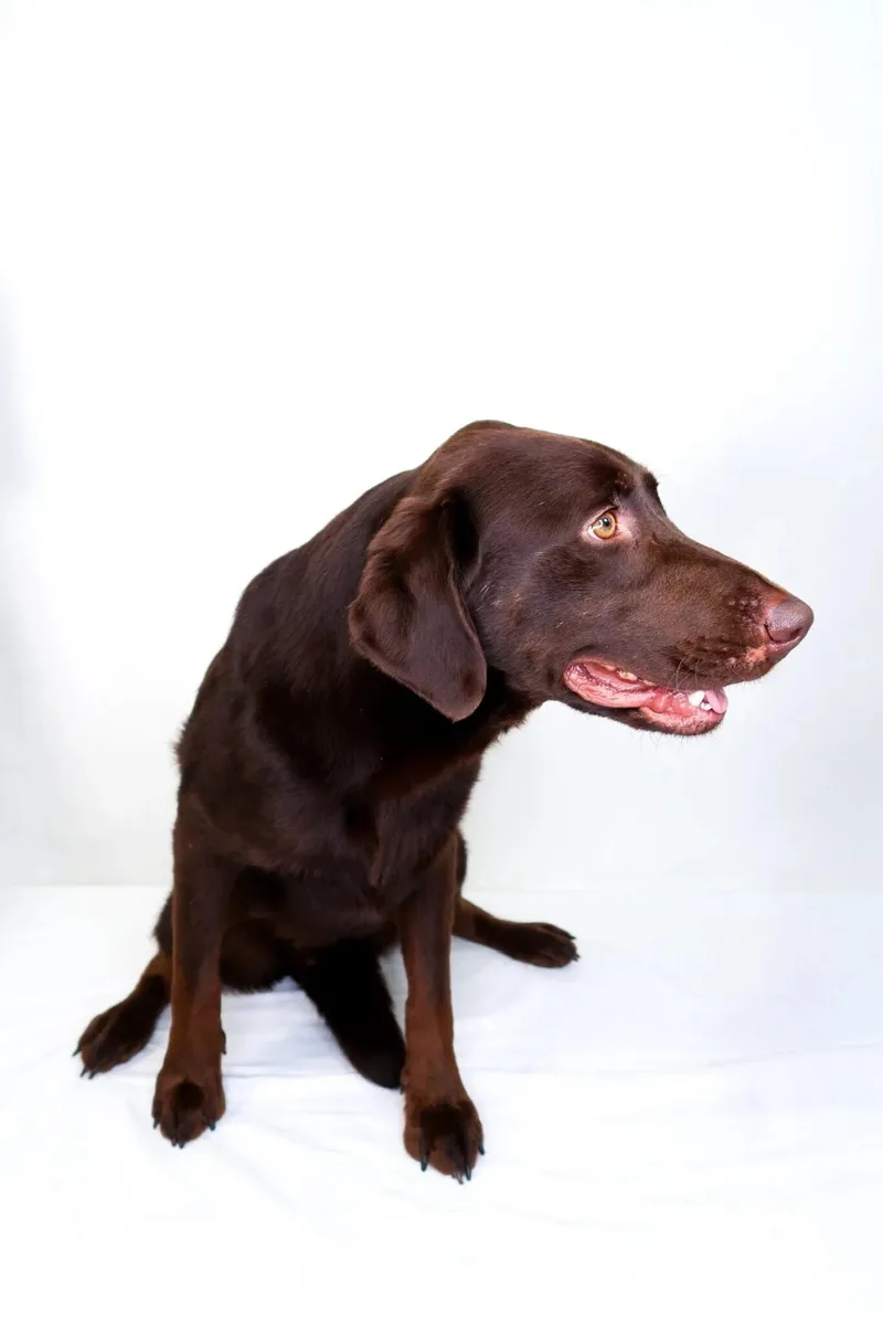 Lionel Ritchie thumbnail 3