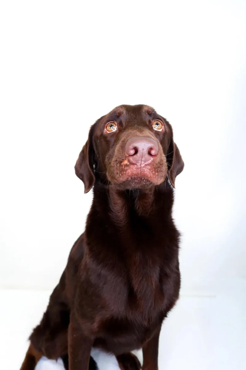 Lionel Ritchie thumbnail 4