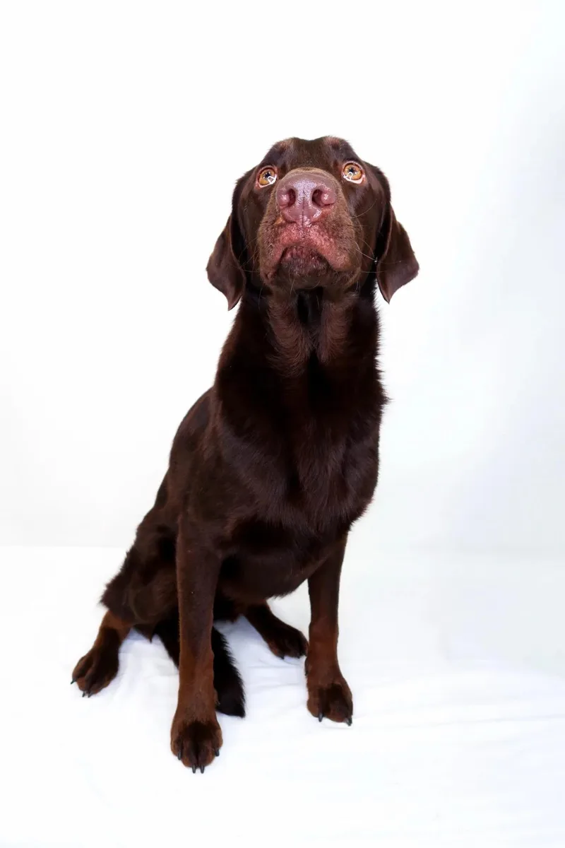 Lionel Ritchie thumbnail 5