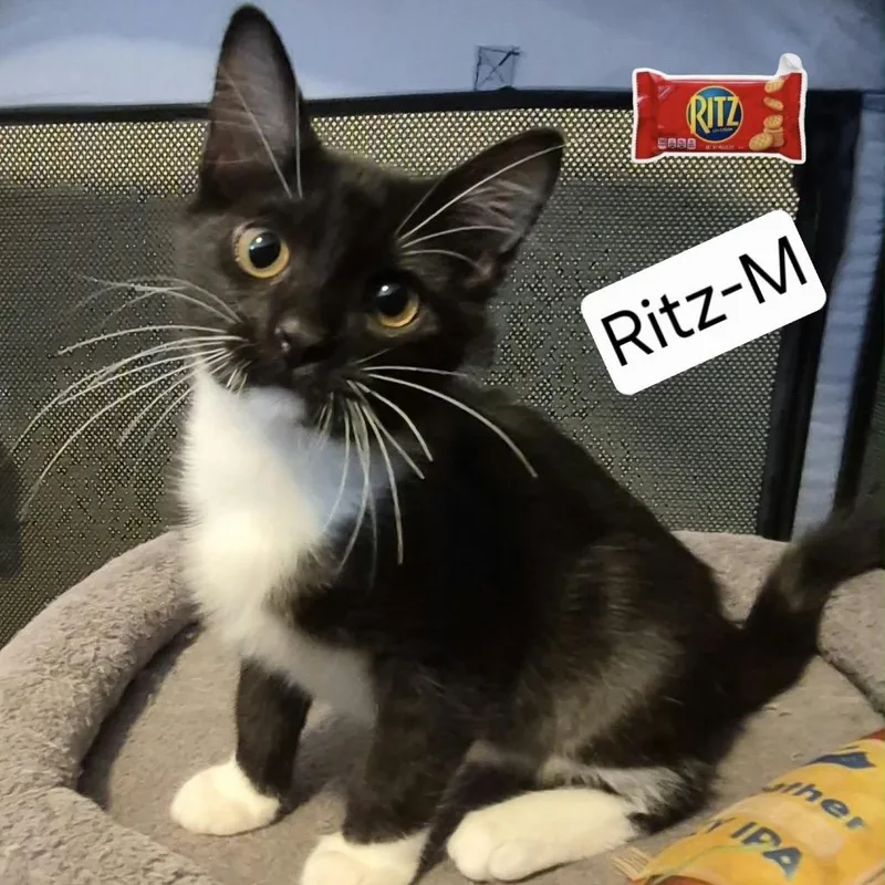 Ritz thumbnail 2