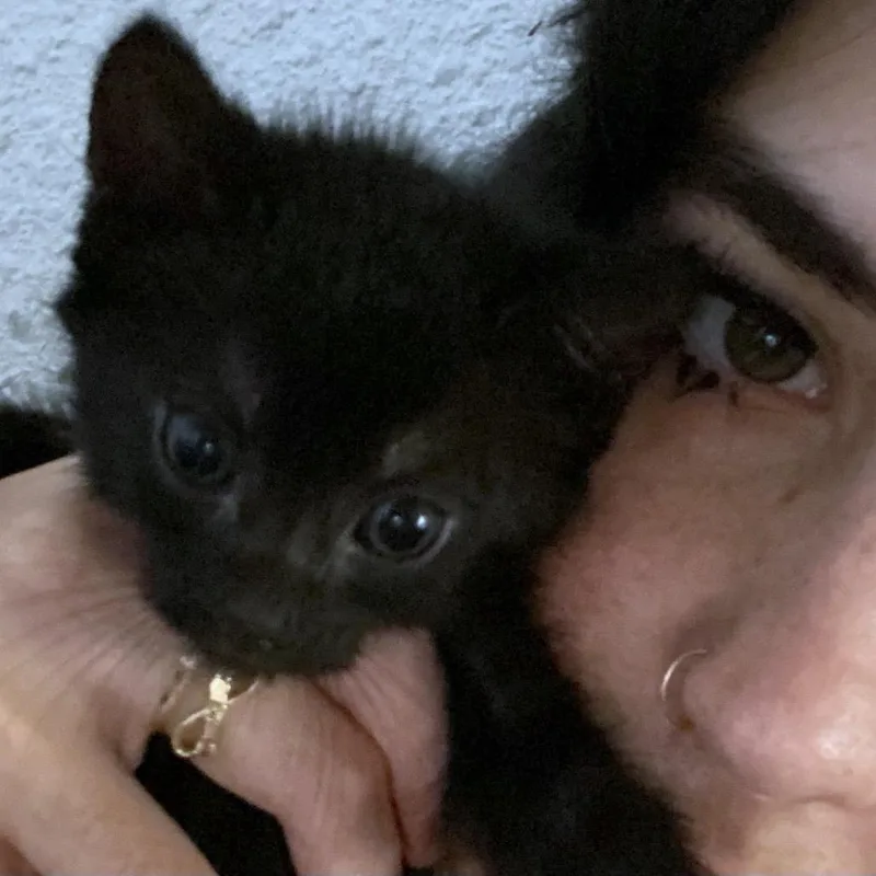 Simon thumbnail 4