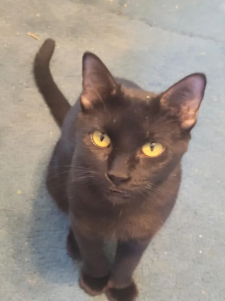 Mom Jeans thumbnail 3