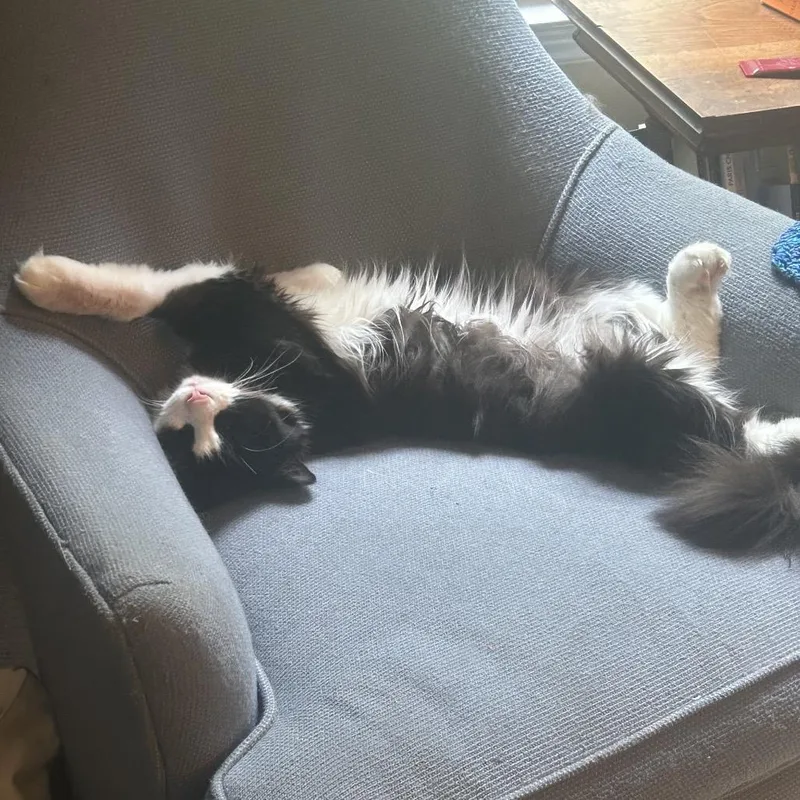 Moonpie McKenzie