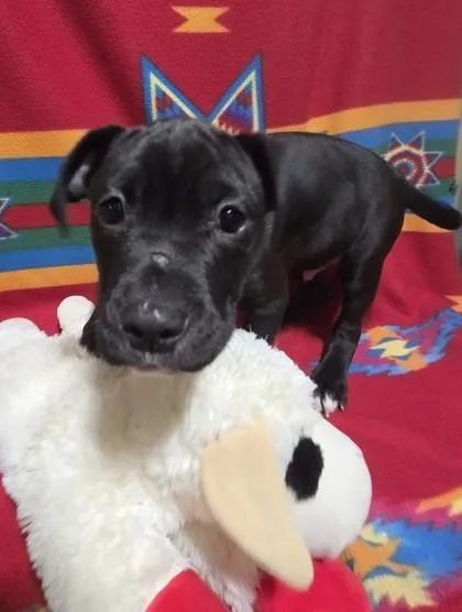 Brett Favre thumbnail 3