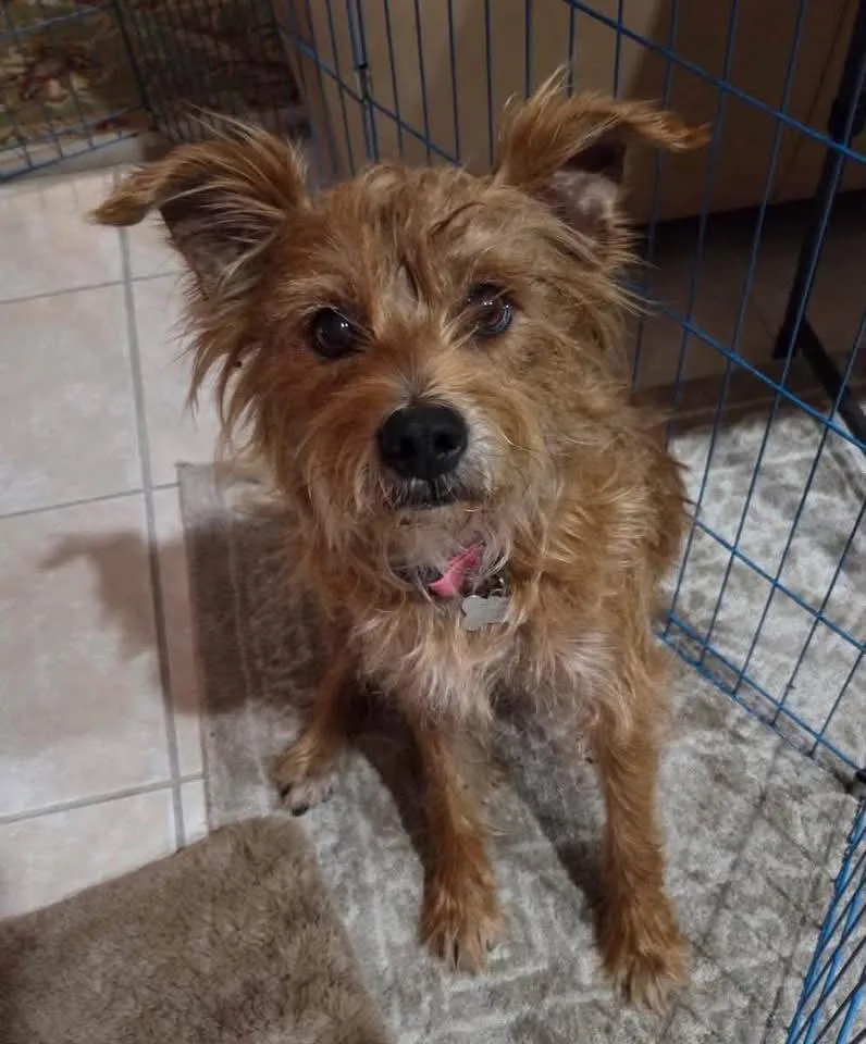 Rocky York