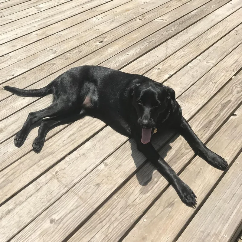 Baylor