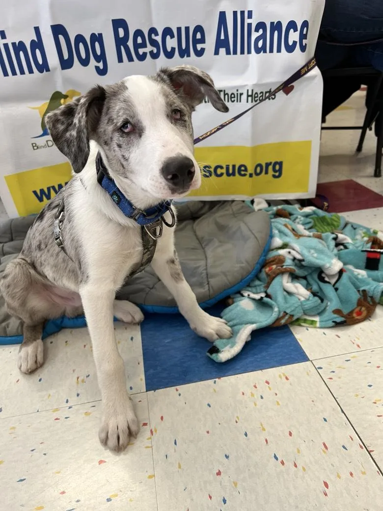 Wranglerfriendly! thumbnail 3