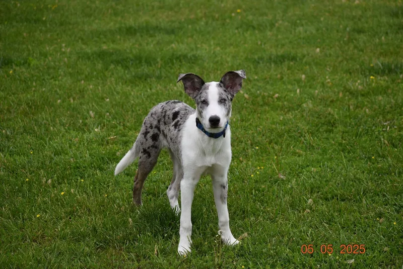 Wranglerfriendly! thumbnail 4